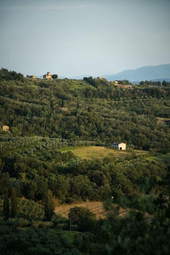 Agriturismo Le Colombe Assisi Exterior foto